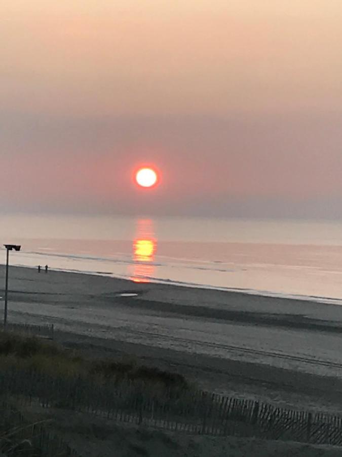 Schelvis Apartments Zandvoort Ngoại thất bức ảnh